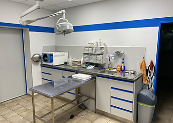 Tierpraxis Dambach photo Tierpraxis Dambach