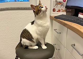 Tierärzte an der Volme image Tierärzte an der Volme