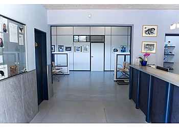 Tierärztliche Fachpraxis Dr. Stefan Reindl image Tierärztliche Fachpraxis Dr. Stefan Reindl