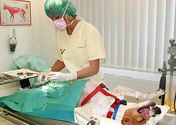 Tierärztliche Gemeinschaftspraxis Christiane Rehmann & Martin Scheffler GbR photo Tierärztliche Gemeinschaftspraxis Christiane Rehmann & Martin Scheffler GbR