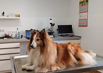 Tierärztliche Gemeinschaftspraxis Halle-Reideburg image Tierärztliche Gemeinschaftspraxis Halle-Reideburg