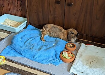 Tierärztliche Gemeinschaftspraxis am Kaßberg photo Tierärztliche Gemeinschaftspraxis am Kaßberg