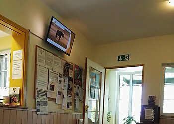 Tierärztliche Klinik Gessertshausen Altano GmbH photo Tierärztliche Klinik Gessertshausen Altano GmbH