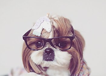 Tierärztliche Klinik Gessertshausen Altano GmbH image Tierärztliche Klinik Gessertshausen Altano GmbH