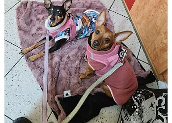 Tierärztliche Klinik für Klein- und Heimtiere image Tierärztliche Klinik für Klein- und Heimtiere