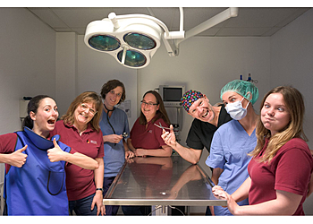 Tierärztliche Praxis Marcus Sand image Tierärztliche Praxis Marcus Sand