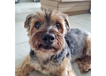 Tierärztliche Praxis Wuppertal UG photo Tierärztliche Praxis Wuppertal UG