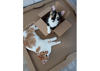 Tierärztliche Praxis Wuppertal UG image Tierärztliche Praxis Wuppertal UG