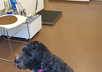 Tierärztliche Praxis am Wienburgpark photo Tierärztliche Praxis am Wienburgpark