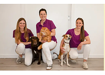 Tierärztliche Praxis für Kleintiere Dr. Angelika Ranzinger image Tierärztliche Praxis für Kleintiere Dr. Angelika Ranzinger