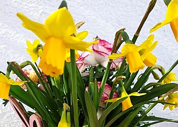 Tierärztliche Praxis für Kleintiere Dr. med. vet. Tanja A. Domurath photo Tierärztliche Praxis für Kleintiere Dr. med. vet. Tanja A. Domurath