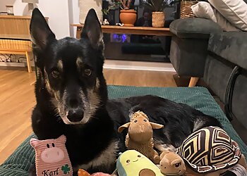 Tierärztliche Praxis für Kleintiere am Hechtpark image Tierärztliche Praxis für Kleintiere am Hechtpark