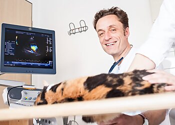 Tierärztliche Praxis für Kleintiere in Weitmar-Mark photo Tierärztliche Praxis für Kleintiere in Weitmar-Mark