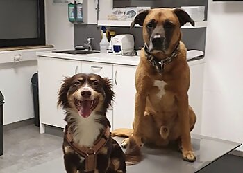 Tierärztliche Praxis für Klein- und Heimtiere photo Tierärztliche Praxis für Klein- und Heimtiere