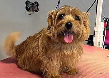 Tina's Hundesalon photo Tina's Hundesalon