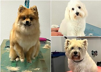 Tina's Hundesalon image Tina's Hundesalon