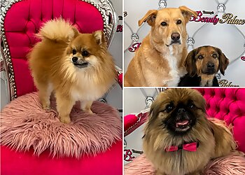 Tommy's Beauty Palace image Tommy's Beauty Palace