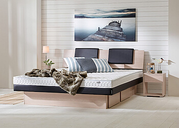 Traumland Wasserbetten GmbH photo Traumland Wasserbetten GmbH