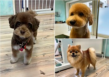 Tuckers Hundesalon image Tuckers Hundesalon