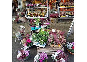 Uschi´s Blumen & Geschenke Eck image Uschi´s Blumen & Geschenke Eck