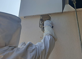 VGS Boskovic photo VGS Boskovic