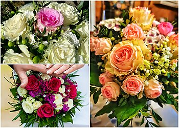 Veras Laden image Veras Laden