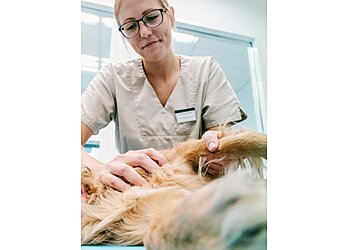Vet Zentrum Köln-Tierärztliche Klinik Für Kleintiere image Vet Zentrum Köln-Tierärztliche Klinik Für Kleintiere