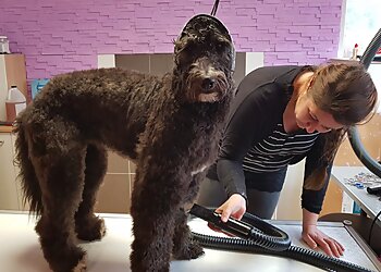 Vielfelltig photo Vielfelltig