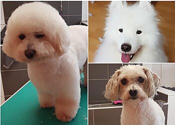 Vielfelltig image Vielfelltig