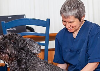 Vogel-und Heimtierpraxis Dr. Inken Sander image Vogel-und Heimtierpraxis Dr. Inken Sander