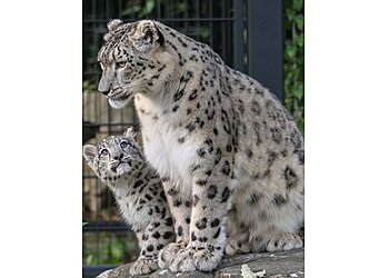 Wilhelma image Wilhelma