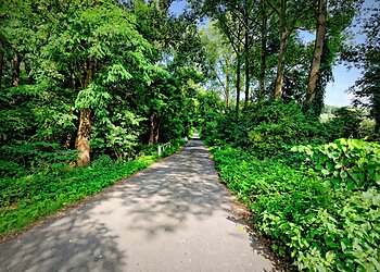 Worringer Bruch photo Worringer Bruch