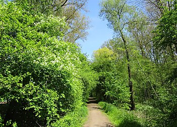 Worringer Bruch image Worringer Bruch