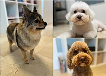 Wusel & Co. Hundesalon image Wusel & Co. Hundesalon