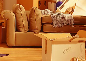 Zentral Umzüge image Zentral Umzüge