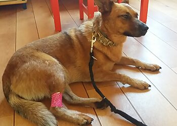 Zentrum für Kleintiermedizin Dr. Gefäller & Dr. Reitemeyer image Zentrum für Kleintiermedizin Dr. Gefäller & Dr. Reitemeyer