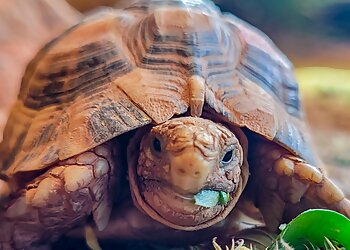 Zoo Dortmund image Zoo Dortmund