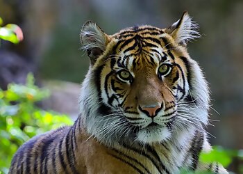 Zoologischer Garten Berlin photo Zoologischer Garten Berlin