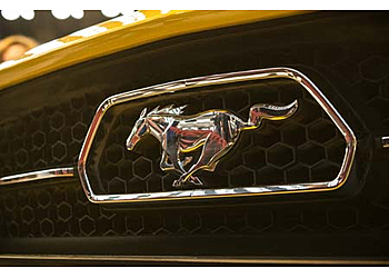 creative services photo creative services