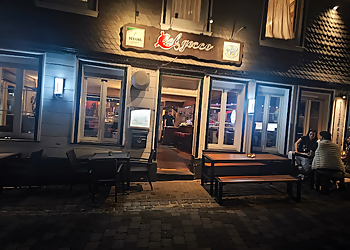 el gecco photo el gecco