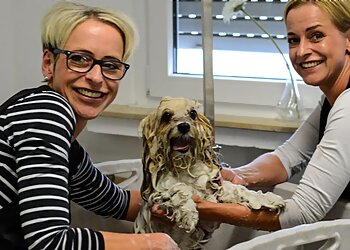 fellLiebe HUNDESTYLING photo fellLiebe HUNDESTYLING