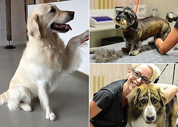 fellLiebe HUNDESTYLING image fellLiebe HUNDESTYLING