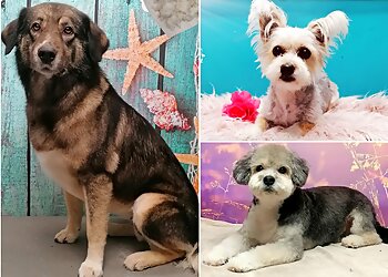 fellherzen image fellherzen