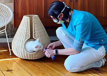 felmo Mobiler Tierarzt Erfurt photo felmo Mobiler Tierarzt Erfurt