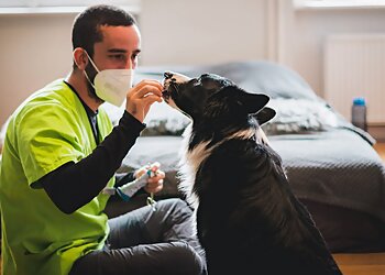 felmo Mobiler Tierarzt Erfurt