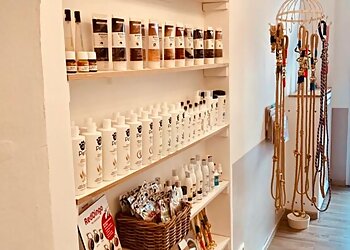 hundeschoen-frankfurt photo hundeschoen-frankfurt