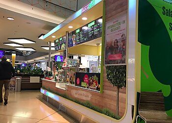 immergrün photo immergrün